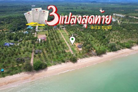 ขาย ที่ดิน ติดถนนใหญ่และชายหาดส่วนตัวละแม 65 ตร.วา มีระบบน้ำประปา และระบบไฟฟ้าเข้าถึง รูปที่ 2