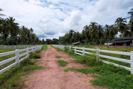 ขาย ที่ดิน ติดถนนใหญ่และชายหาดส่วนตัวละแม 65 ตร.วา มีระบบน้ำประปา และระบบไฟฟ้าเข้าถึง รูปที่ 6