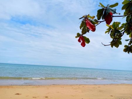 ขาย ที่ดิน ติดถนนใหญ่และชายหาดส่วนตัวละแม 65 ตร.วา มีระบบน้ำประปา และระบบไฟฟ้าเข้าถึง รูปที่ 3