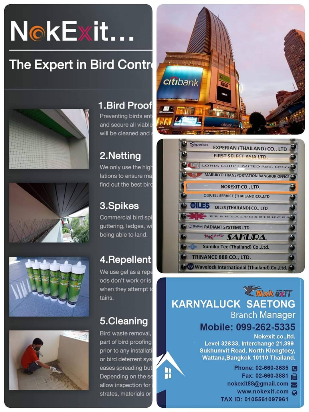 ตาข่ายกันนกคุณภาพ*Nokexit Co.,Ltd.*0992625335 รูปที่ 7
