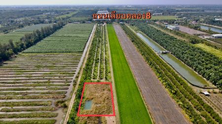 ขาย ที่ดิน ทำเลดี วิวทุ่งนาคลอง8 1 ไร่ โฉนดครุฑแดง ฟรีค่าโอนภาษี รูปที่ 5
