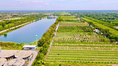 ขาย ที่ดิน แบ่งขายเชิงเกษตร โคกหนองนาโมเดลคลอง10 1 ไร่ โฉนดครุฑแดง ฟรีค่าโอน ค่าภาษี รูปที่ 5