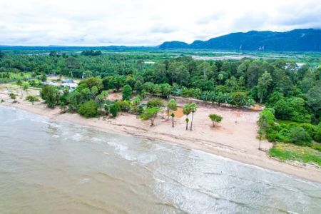 ขาย ที่ดิน โฉนดครุฑแดง หาดท่าม่วง 300 ตร.วา ทำเลดี ติดทะเลหน้าหาดทุกแปลง ทรายขาวน้ำสวย รูปที่ 4