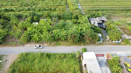 ขาย ที่ดิน ฟรีค่าโอนคลอง9 240 ตร.วา น้ำไม่ท่วม ถนนสาธารณประโยชน์กว้าง 8 เมตร รูปที่ 6