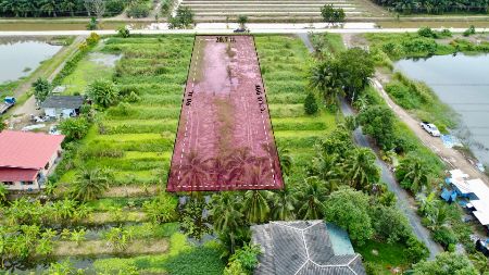 ขาย ที่ดิน ติดถนนเคอนกรีต เดินทางสะดวกเข้าออกได้หลายทางคลอง10 466 ตร.วา ฟรีค่าโอน ที่สวยถมแล้วบรรยากาศชิลล์ๆพร้อมปลูกบ้าน รูปที่ 3