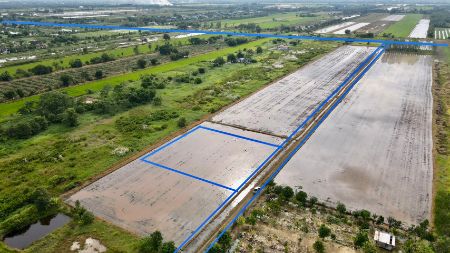 ขาย ที่ดิน เหมาะทำบ้านสวนเกษตรบ้านพักตากอากาศคลอง9 2 ไร่ โฉนดพร้อมโอน ฟรีค่าโอนภาษี รูปที่ 3
