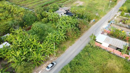 ขาย ที่ดิน ฟรีค่าโอนคลอง9 240 ตร.วา น้ำไม่ท่วม ถนนสาธารณประโยชน์กว้าง 8 เมตร รูปที่ 5