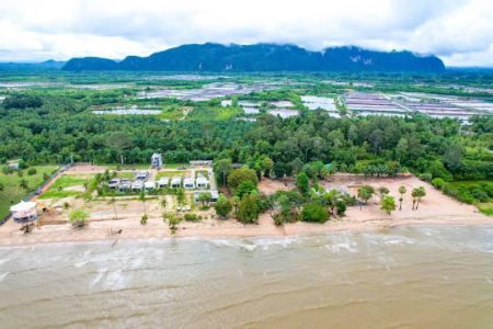 ขาย ที่ดิน โฉนดครุฑแดง หาดท่าม่วง 300 ตร.วา ทำเลดี ติดทะเลหน้าหาดทุกแปลง ทรายขาวน้ำสวย รูปที่ 6