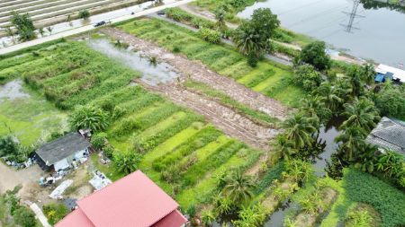 ขาย ที่ดิน ติดถนนเคอนกรีต เดินทางสะดวกเข้าออกได้หลายทางคลอง10 466 ตร.วา ฟรีค่าโอน ที่สวยถมแล้วบรรยากาศชิลล์ๆพร้อมปลูกบ้าน รูปที่ 6