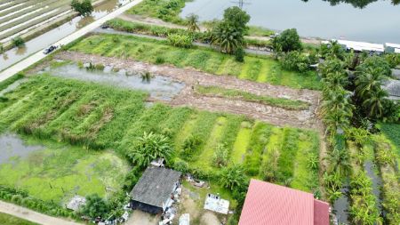 ขาย ที่ดิน ติดถนนเคอนกรีต เดินทางสะดวกเข้าออกได้หลายทางคลอง10 466 ตร.วา ฟรีค่าโอน ที่สวยถมแล้วบรรยากาศชิลล์ๆพร้อมปลูกบ้าน รูปที่ 5