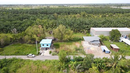 ขาย ที่ดิน ขายบ้านพร้อมที่ดินเข้าอยู่ได้เลยคลอง8 50 ตร.วา โฉนดครุฑแดง ฟรีค่าใช้จ่าย รูปที่ 2