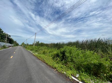ขาย ที่ดิน ทำเลดี ถนนกว้างเข้าออกง่ายคลอง9 210 ตร.วา ติดถนนเมน ไฟฟ้า 3 เฟด ปะปาหน้าแปลง รูปที่ 5