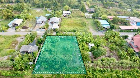 ขาย ที่ดิน ฟรีค่าโอนคลอง9 240 ตร.วา น้ำไม่ท่วม ถนนสาธารณประโยชน์กว้าง 8 เมตร รูปที่ 2