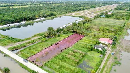 ขาย ที่ดิน ติดถนนเคอนกรีต เดินทางสะดวกเข้าออกได้หลายทางคลอง10 466 ตร.วา ฟรีค่าโอน ที่สวยถมแล้วบรรยากาศชิลล์ๆพร้อมปลูกบ้าน รูปที่ 2