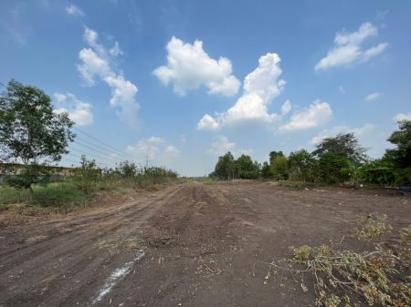 ขาย ที่ดิน โฉนดครุฑแดงฟรีค่าโอนวังน้อย 200 ตร.วา ทำเลดี ติดถนนเลียบคลองหนองน้ำส้ม รูปที่ 8