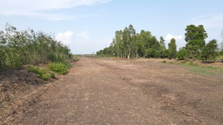 ขาย ที่ดิน โฉนดครุฑแดงฟรีค่าโอนวังน้อย 200 ตร.วา ทำเลดี ติดถนนเลียบคลองหนองน้ำส้ม รูปที่ 9