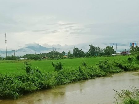 ขาย ที่ดิน ทำเลสวยใกล้เมืองใกล้ชุมชนใกล้ตลาด ใกล้แยกจปร. เมืองนครนายก 100 ตร.วา น้ำไฟพร้อม รูปที่ 5