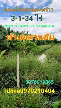 ขาย ที่ดิน ติดถนนบ้านแพ้ว-กระทุมแบนที่ดินติดถนนบ้านแพ้ว 3 ไร่ 1 งาน 34 ตร.วา มีแหล่งน้ำ รูปที่ 2
