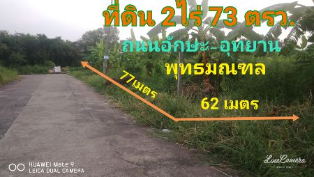 ขาย ที่ดิน ถนนอักษะ-อุทยานที่ดินถนนอักษะ อุทยาน 2 ไร่ 73 ตร.วา ถนนกว้าง เหมาะสร้างที่พักอาศัย อาคารสำนักงาน รูปที่ 4