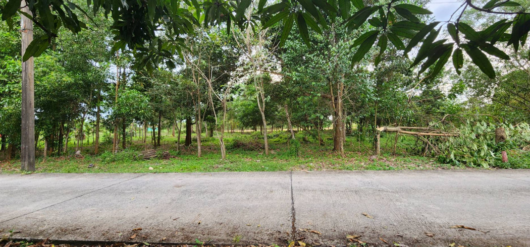 ขายที่ดินสวยถมแล้ว ใกล้ตัวเมืองนครนายก เนื้อที่ 1 ไร่ 2 งาน พรหมณี เมืองนครนายก รูปที่ 2