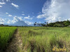 รูปย่อ ที่ดิน โฉนด แปลงสวยงาม วิวทุ่งนา ภูเขา รอบที่ดิน 360องศา จังหวัดเชียงใหม่ รูปที่2