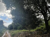 รูปย่อ ที่ดิน สวนผลไม้ เมืองจันท์ 138ไร่ ติดถนนดำ ถนนทุ่งเพล-วัดขนุน จันทบุรี รูปที่7