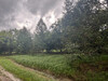 รูปย่อ ที่ดิน สวนผลไม้ เมืองจันท์ 138ไร่ ติดถนนดำ ถนนทุ่งเพล-วัดขนุน จันทบุรี รูปที่2