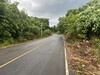 รูปย่อ ที่ดิน สวนผลไม้ เมืองจันท์ 138ไร่ ติดถนนดำ ถนนทุ่งเพล-วัดขนุน จันทบุรี รูปที่1