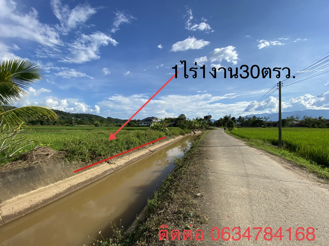 ที่ดิน โฉนด แปลงสวยงาม วิวทุ่งนา ภูเขา รอบที่ดิน 360องศา จังหวัดเชียงใหม่ รูปที่ 1