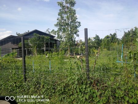 ขาย ที่ดิน ติดถนน ใกล้แหล่งน้ำ 2 ไร่ 42 ตร.วา นครชัยศรี นครปฐม รูปที่ 8