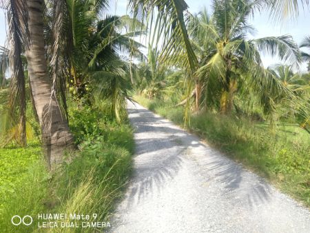 ขาย ที่ดิน ติดถนน ใกล้แหล่งน้ำ 2 ไร่ 42 ตร.วา นครชัยศรี นครปฐม รูปที่ 7