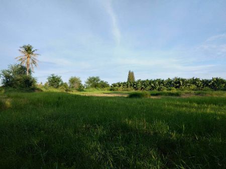 ขาย ที่ดิน เนื้อที่3ไร่3งาน54ตรว. ต.บ่อนอก อำเภอเมืองประจวบคีรีขันธ์ 3 ไร่ 3 งาน 54 ตร.วา ห่างจากชายหาดบ่อนอก6นาที รูปที่ 4