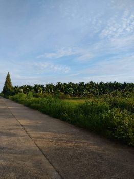 ขาย ที่ดิน เนื้อที่3ไร่3งาน54ตรว. ต.บ่อนอก อำเภอเมืองประจวบคีรีขันธ์ 3 ไร่ 3 งาน 54 ตร.วา ห่างจากชายหาดบ่อนอก6นาที รูปที่ 7