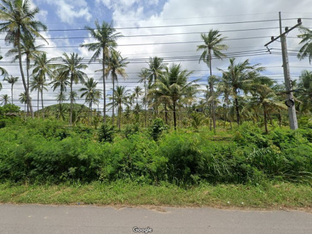 ขาย ที่ดิน ที่ดินอยู่ติดถนนเพชรเกษม ที่ดินขนาดใหญ่ ที่ดิน ประจวบคีรีขันธ์ 97 ไร่ 99 ตร.วา ที่ดินเป็นสวนมะพร้าว รูปที่ 3