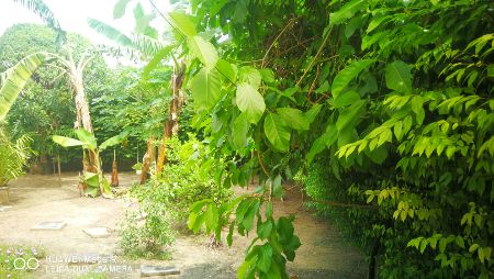 ขาย บ้านเดี่ยว เนื้อที่เยอะ หลังมุมดิ โอเรียลตัลเฮ้าส์ 240 ตรม. 115 ตร.วา บางบัวทอง นนทบุรี รูปที่ 11