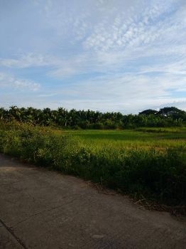 ขาย ที่ดิน เนื้อที่3ไร่3งาน54ตรว. ต.บ่อนอก อำเภอเมืองประจวบคีรีขันธ์ 3 ไร่ 3 งาน 54 ตร.วา ห่างจากชายหาดบ่อนอก6นาที รูปที่ 6