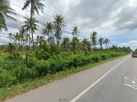 ขาย ที่ดิน ที่ดินอยู่ติดถนนเพชรเกษม ที่ดินขนาดใหญ่ ที่ดิน ประจวบคีรีขันธ์ 97 ไร่ 99 ตร.วา ที่ดินเป็นสวนมะพร้าว รูปที่ 4
