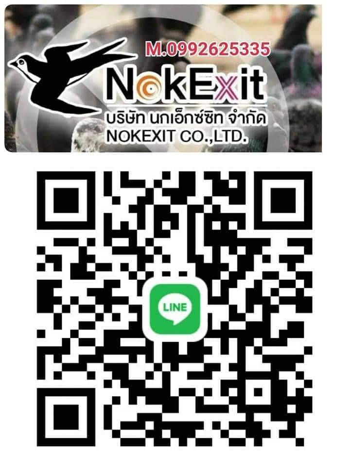 ตาข่ายกันนกคุณภาพ*Nokexit Co.,Ltd.*0992625335 รูปที่ 1