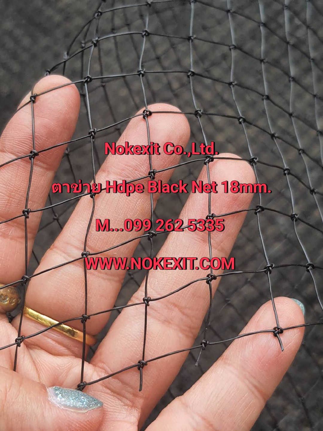 ตาข่ายกันนกคุณภาพ*Nokexit Co.,Ltd.*0992625335 รูปที่ 7