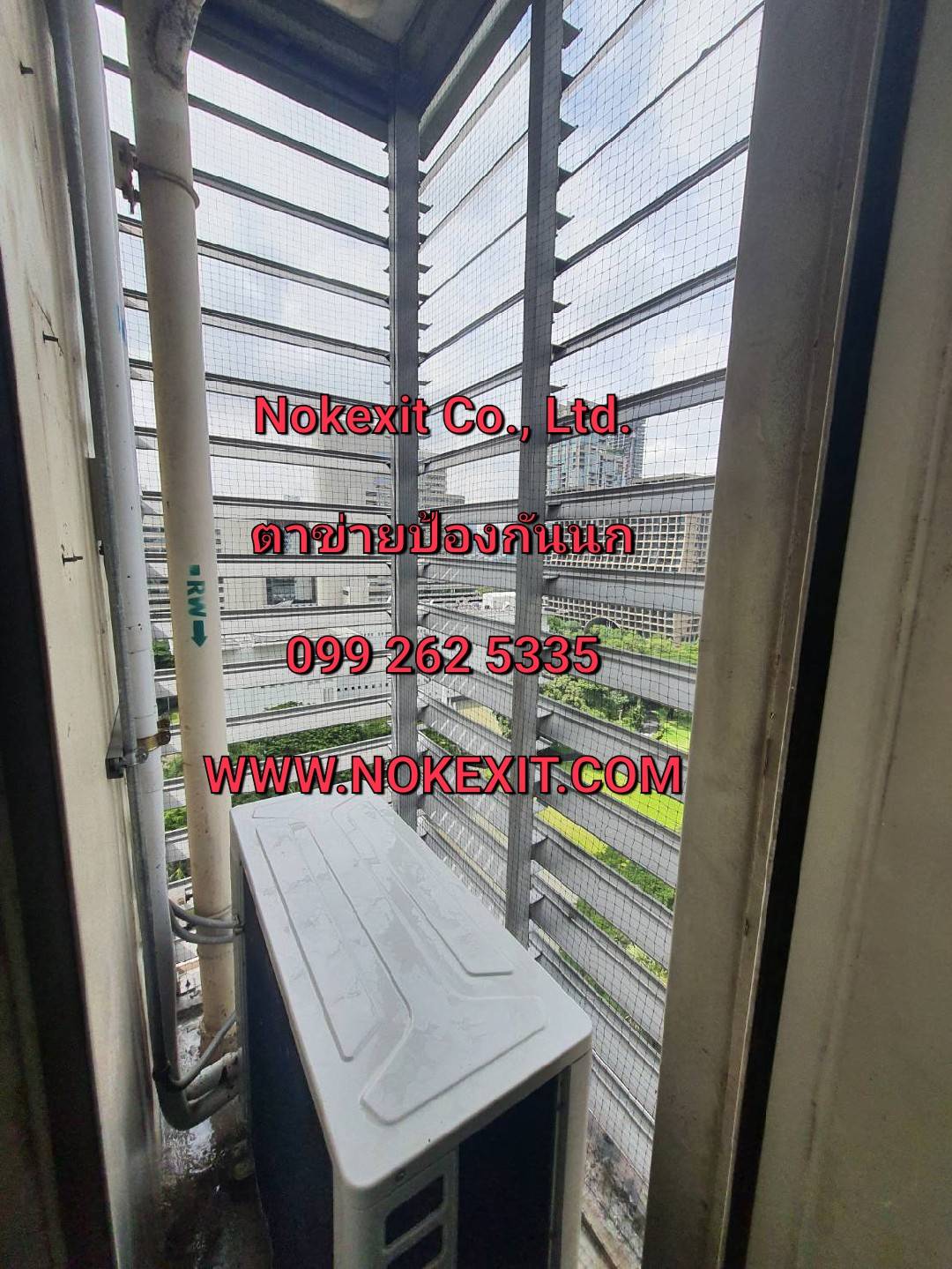 ตาข่ายกันนกคุณภาพ*Nokexit Co.,Ltd.*0992625335 รูปที่ 4