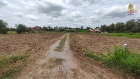 ที่ดินถมแล้วบางคล้า ติดถนนสามด้าน (ใกล้วัดปากน้ำโจโล้) รูปที่ 8