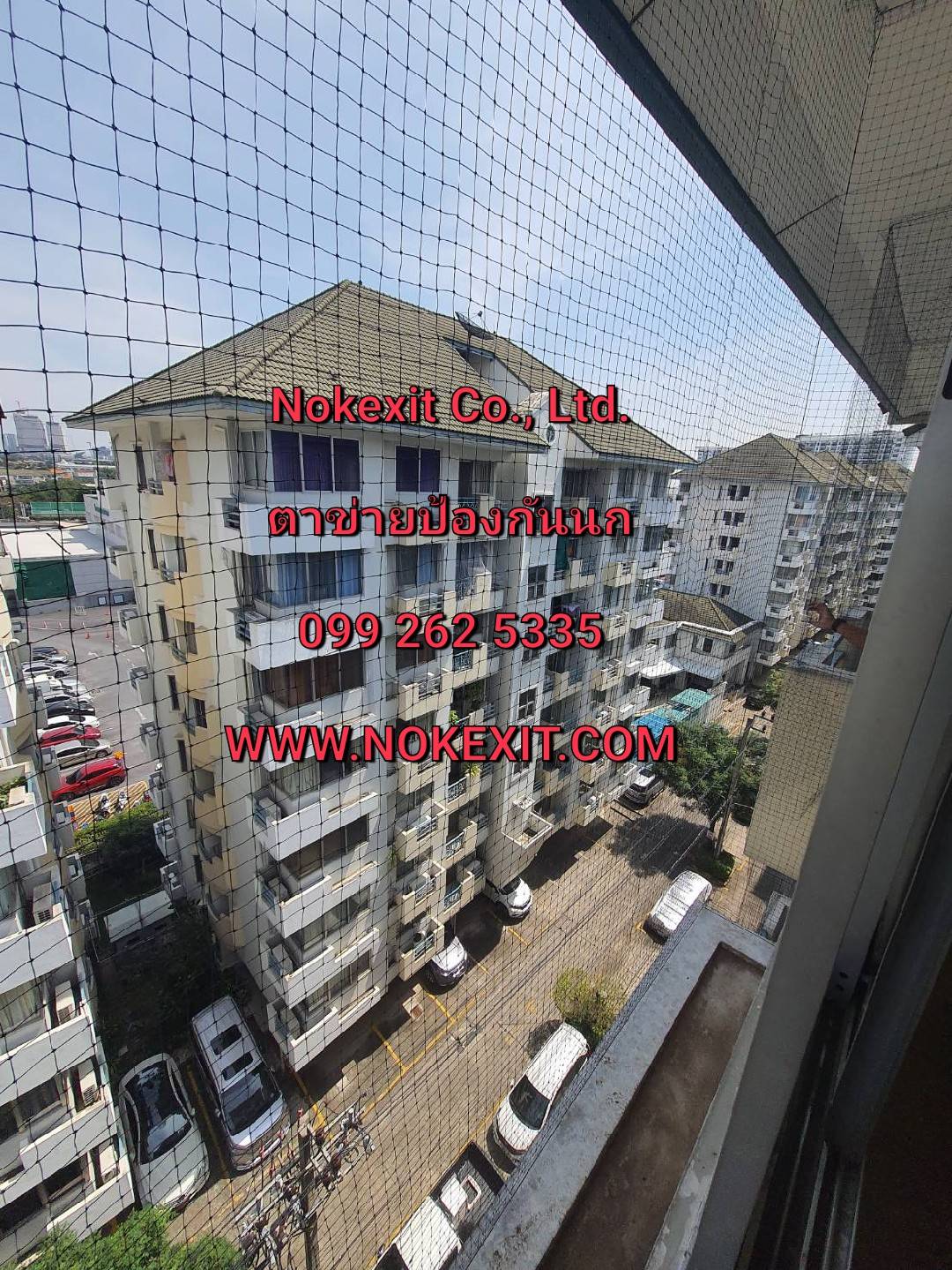 ตาข่ายกันนกคุณภาพ*Nokexit Co.,Ltd.*0992625335 รูปที่ 5