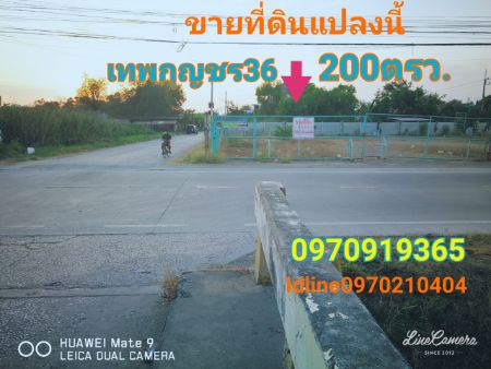 ขาย ที่ดิน ติดถนนเทพกุญชร36 200 ตร.วา คลองหลวง ปทุมธานี รูปที่ 5