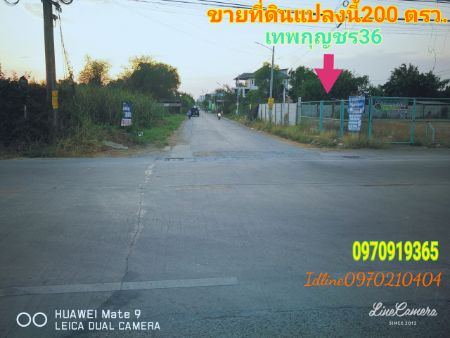 ขาย ที่ดิน ติดถนนเทพกุญชร36 200 ตร.วา คลองหลวง ปทุมธานี รูปที่ 4