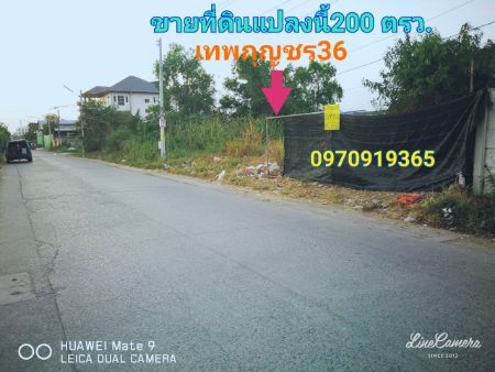 ขาย ที่ดิน ติดถนนเทพกุญชร36 200 ตร.วา คลองหลวง ปทุมธานี รูปที่ 3