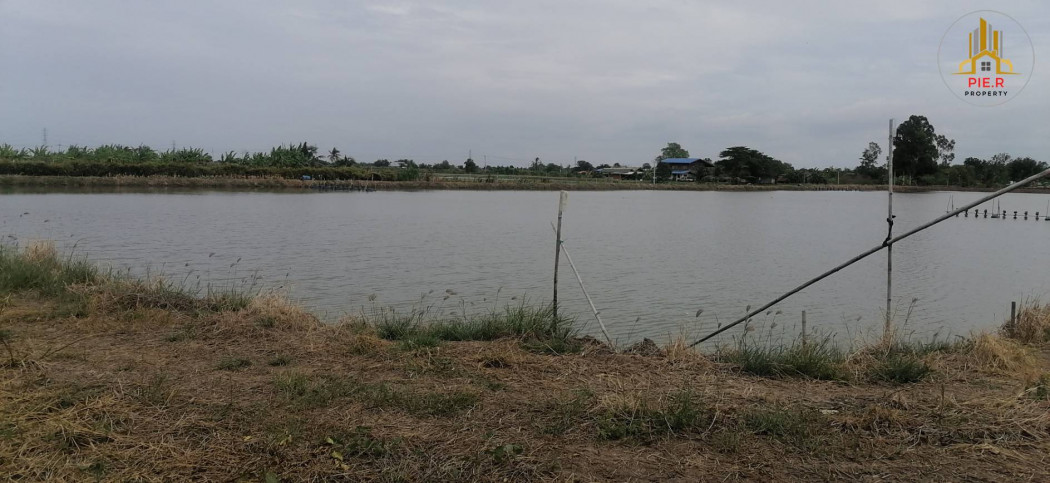 ที่ดิน 8 ไร่ อำเภอบางคล้า (ตรงข้ามโรงพบายาลส่งเสริมสุขภาพ ต.บางกระเจ็ด) รูปที่ 5