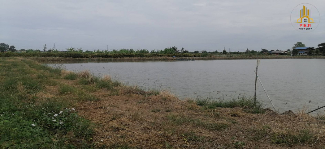 ที่ดิน 8 ไร่ อำเภอบางคล้า (ตรงข้ามโรงพบายาลส่งเสริมสุขภาพ ต.บางกระเจ็ด) รูปที่ 2