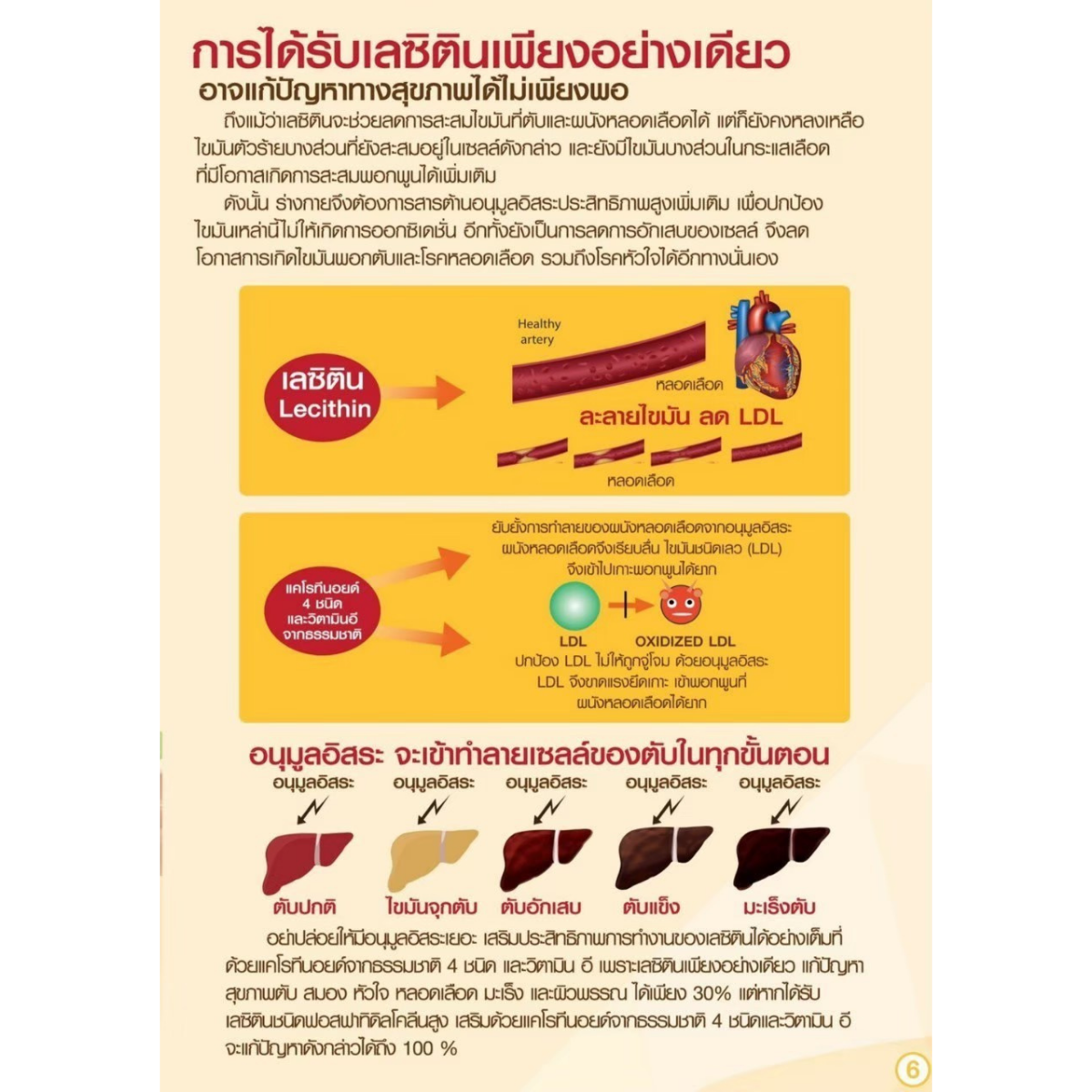 บำรุงตับ ลดไขมันพอกตับ เลซิติน ชนิดแคปซูล 30 และ 60 แคปซูล ผสมแคโรทีนอยด และวิตามินอี Lecithin Giffarine ของแท้ รูปที่ 5