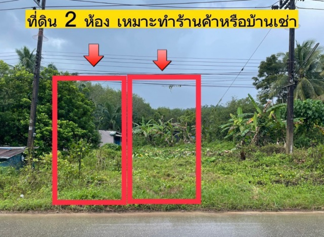 ขายด่วน ที่ดิน โฉนด 2 ห้อง ติดถนนใหญ่ (อยู่ใกล้ อบต.วังวน) รูปที่ 1