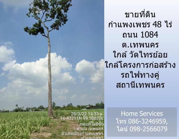 ขายที่ดินกำแพงเพชร 48 ไร่ ถนน 1084 ต.เทพนคร ใกล้ วัดไทรย้อย ใกล้โครงการก่อสร้างรถไฟทางคู่ สถานีเทพนคร รูปที่ 5